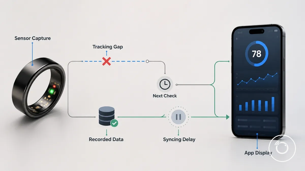 Diagramm, das eine Tracking-Lücke und eine Synchronisationsverzögerung in der App für einen Smartring zeigt