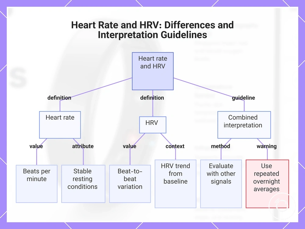Heart Rate and HRV: Differences and Interpretation Guidelines