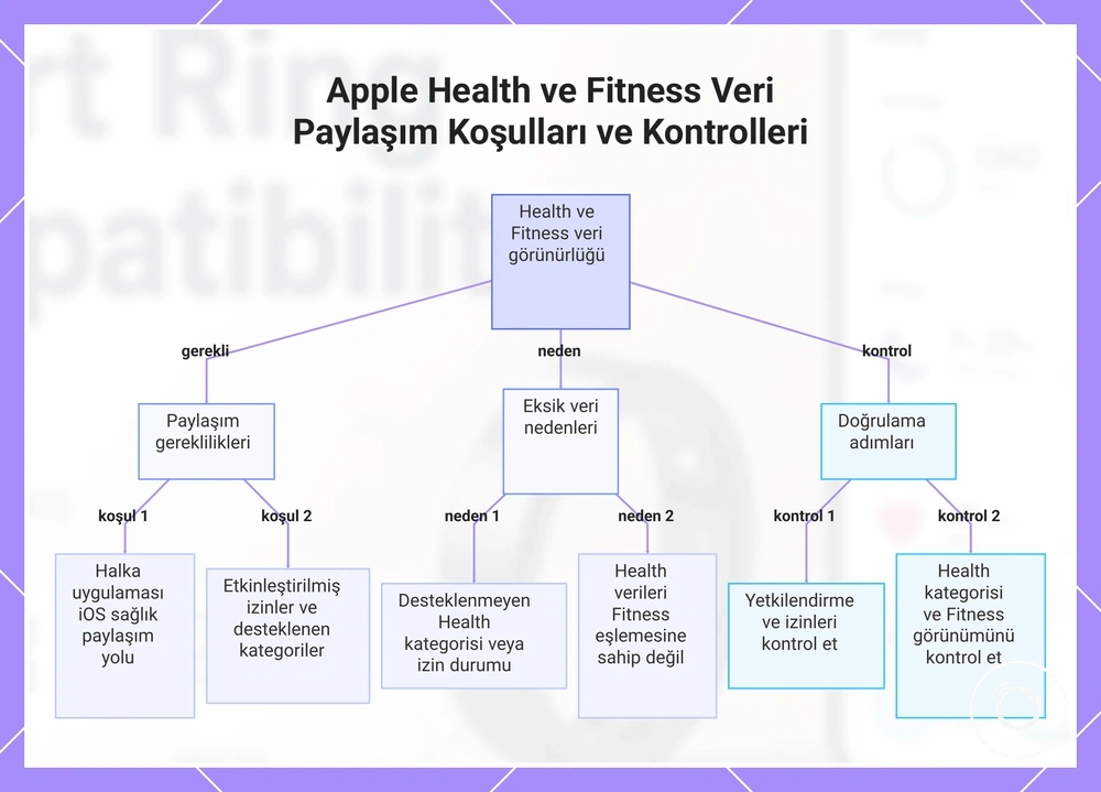 Apple Health ve Fitness Veri Paylaşım Koşulları ve Kontrolleri