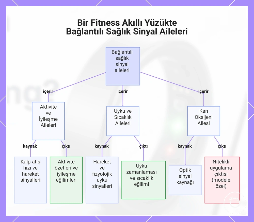 Bir Fitness Akıllı Yüzükte Bağlantılı Sağlık Sinyal Aileleri