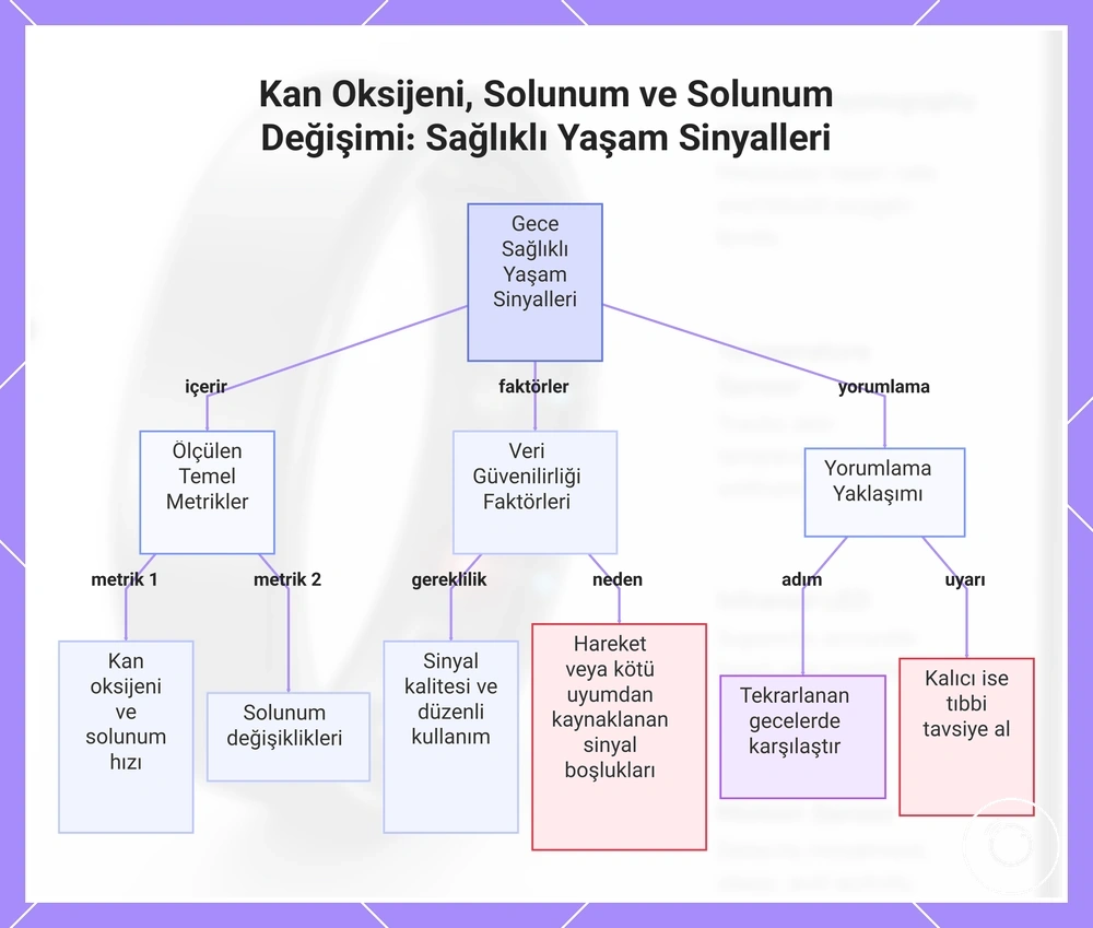 Kan Oksijeni, Solunum ve Solunum Değişimi: Sağlıklı Yaşam Sinyalleri